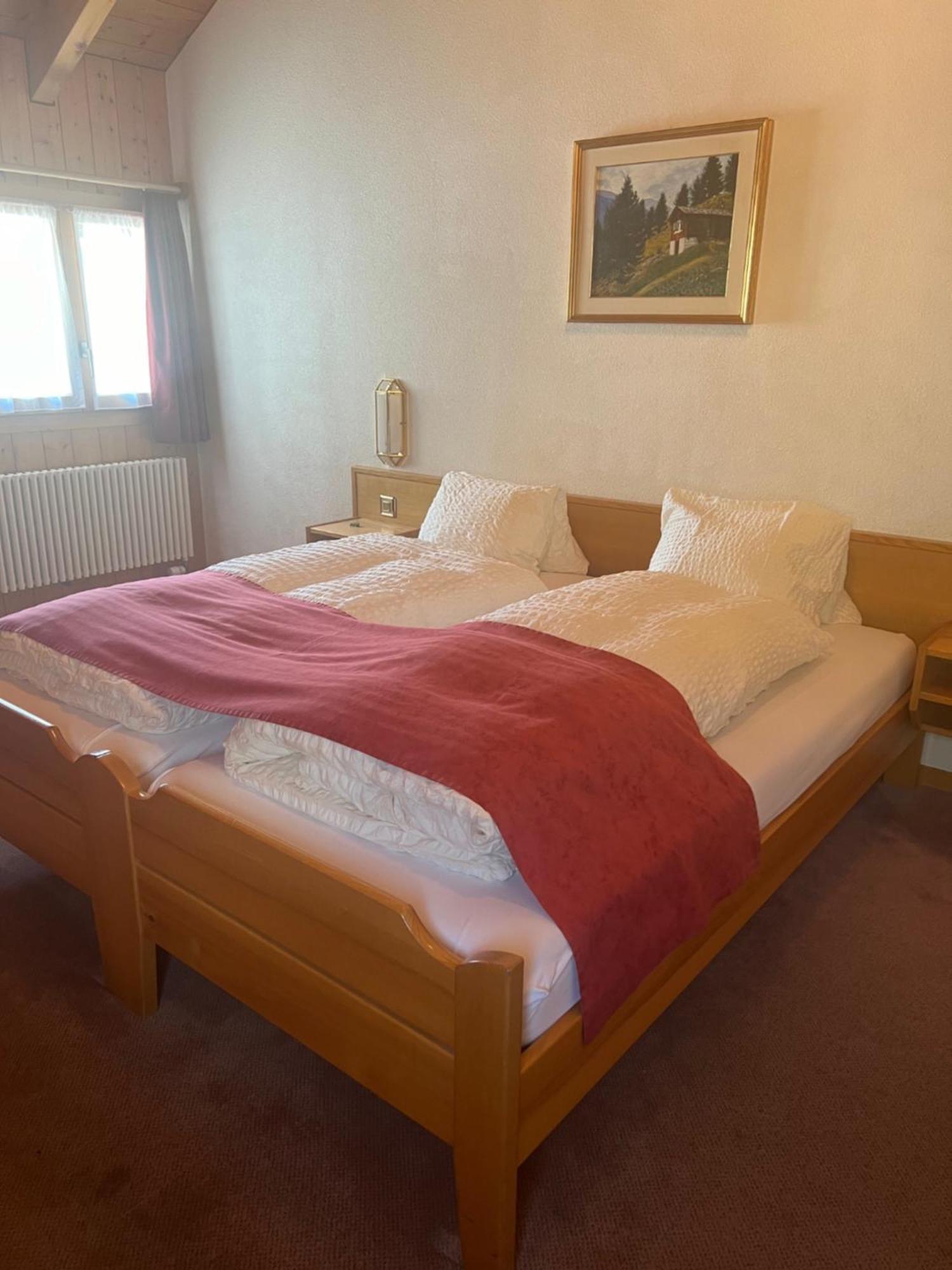 Hotel Grimsel Obergesteln Kültér fotó