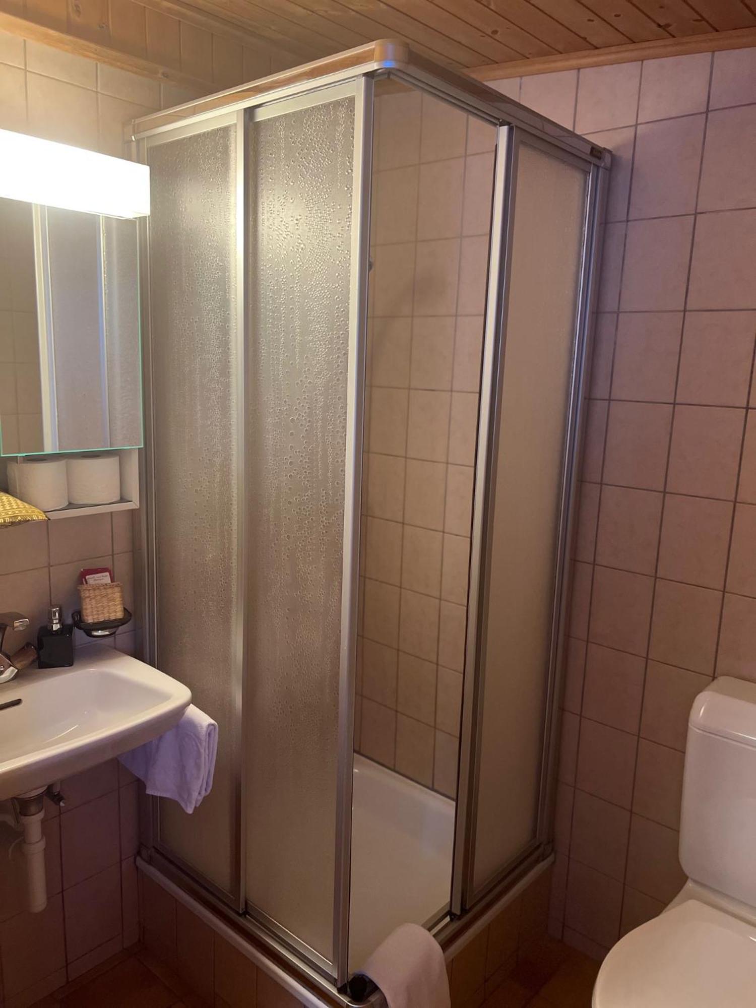 Hotel Grimsel Obergesteln Kültér fotó