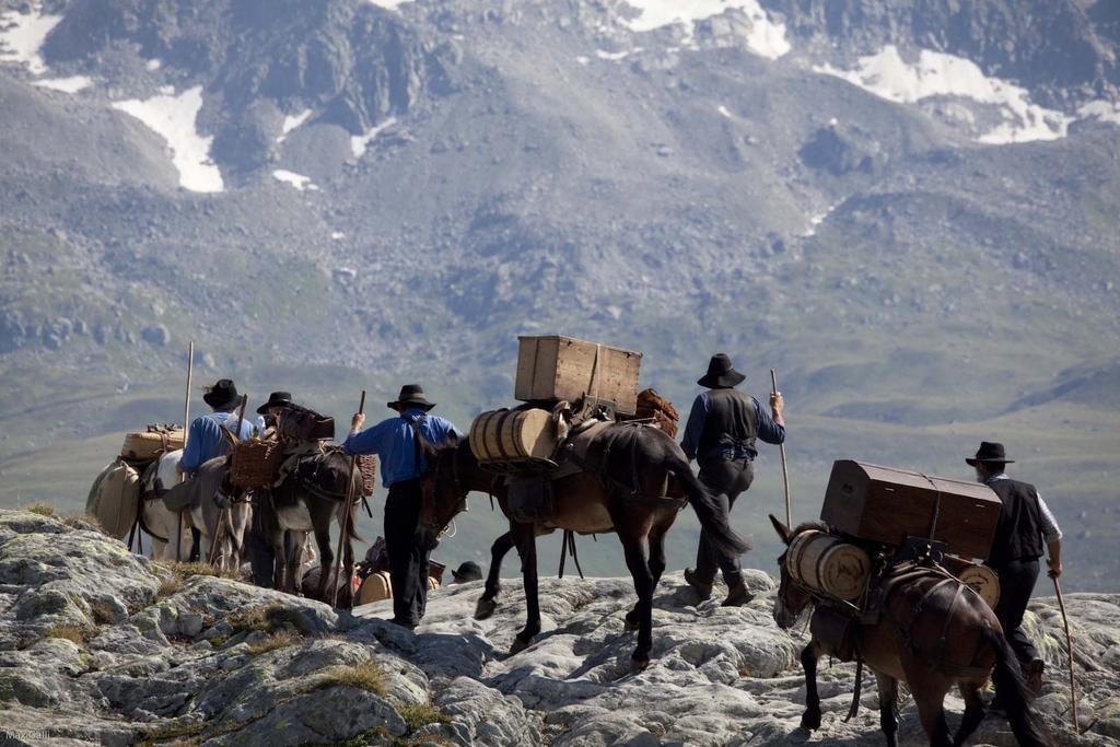 Hotel Grimsel Obergesteln Kültér fotó